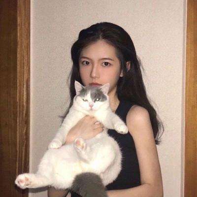 西域风云手游官方下载